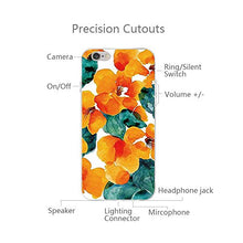 Qissy iPhone5s Case, iPhone5 Case Funny Fashion Cat Panda Christmas Snowflake Clear Design Transparent TPU Cover for iPhone SE/5/5S (2)